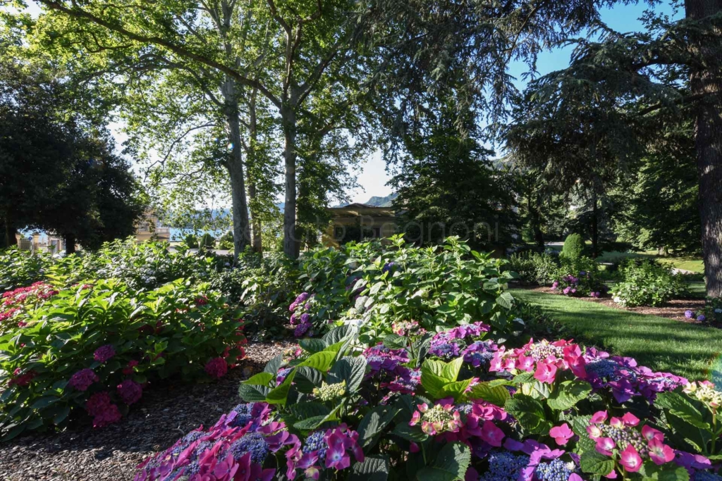 02 - Villa Olmo - Architettura - 2019