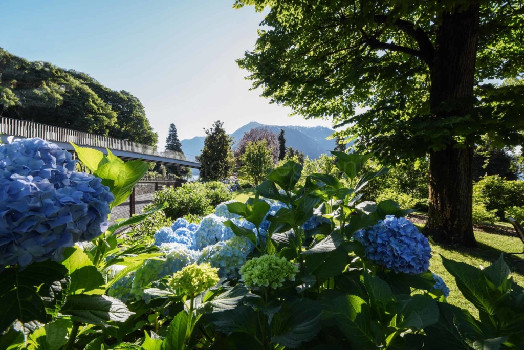 04 - Villa Olmo - Architettura - 2019